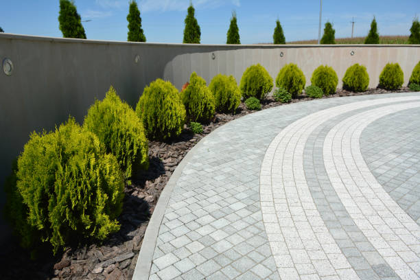 Reasons to Select Us for Your Driveway Paving Requirements in Oak Grove, MO